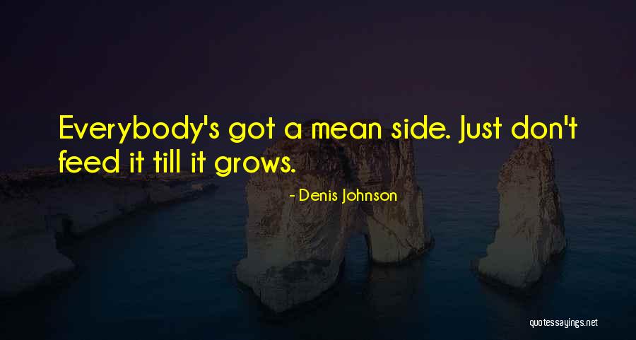 Therkildsen Field Quotes By Denis Johnson Therkildsen Field Quotes By Denis Johnson