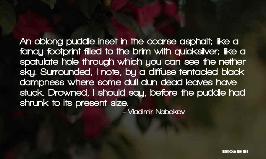 Thermodynamically Most Stable Form Quotes By Vladimir Nabokov Thermodynamically Most Stable Form Quotes By Vladimir Nabokov