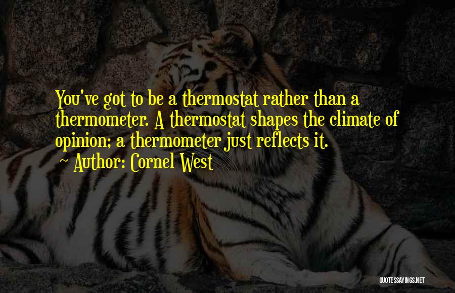 Thermometer Quotes By Cornel West