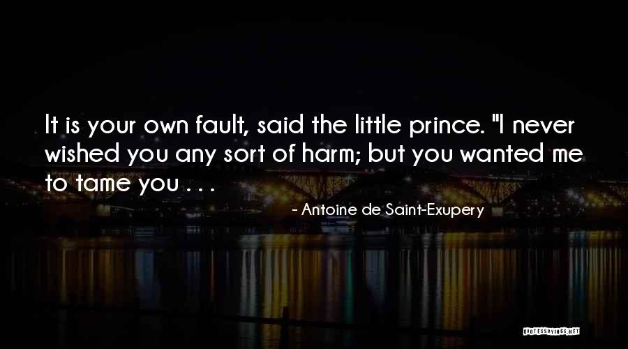 Thermosphere Quotes By Antoine De Saint-Exupery Thermosphere Quotes By Antoine De Saint-Exupery