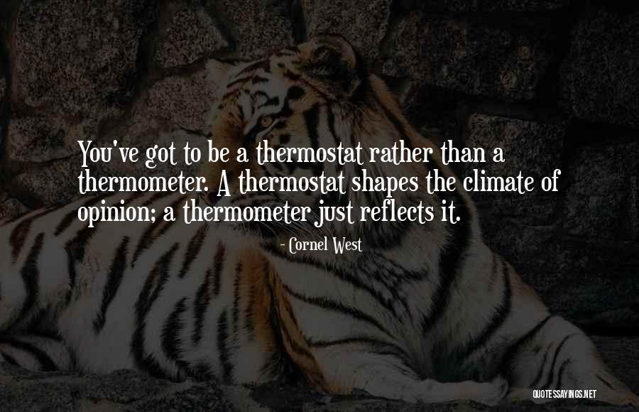 Thermostat Quotes By Cornel West