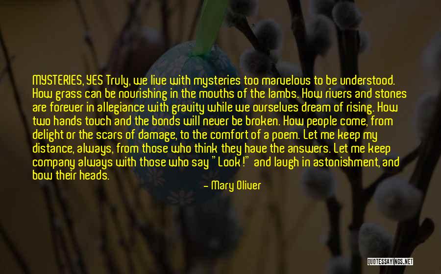 These Broken Hands Of Mine Quotes By Mary Oliver These Broken Hands Of Mine Quotes By Mary Oliver