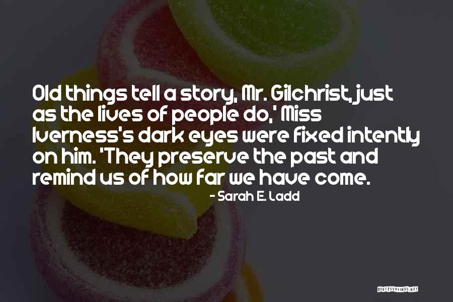 These Eyes Tell A Story Quotes By Sarah E. Ladd These Eyes Tell A Story Quotes By Sarah E. Ladd