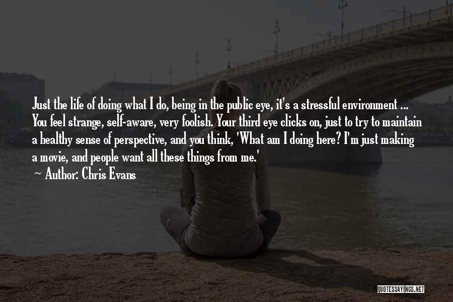 These Foolish Things Quotes By Chris Evans