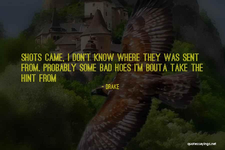 These Hoes Quotes By Drake These Hoes Quotes By Drake