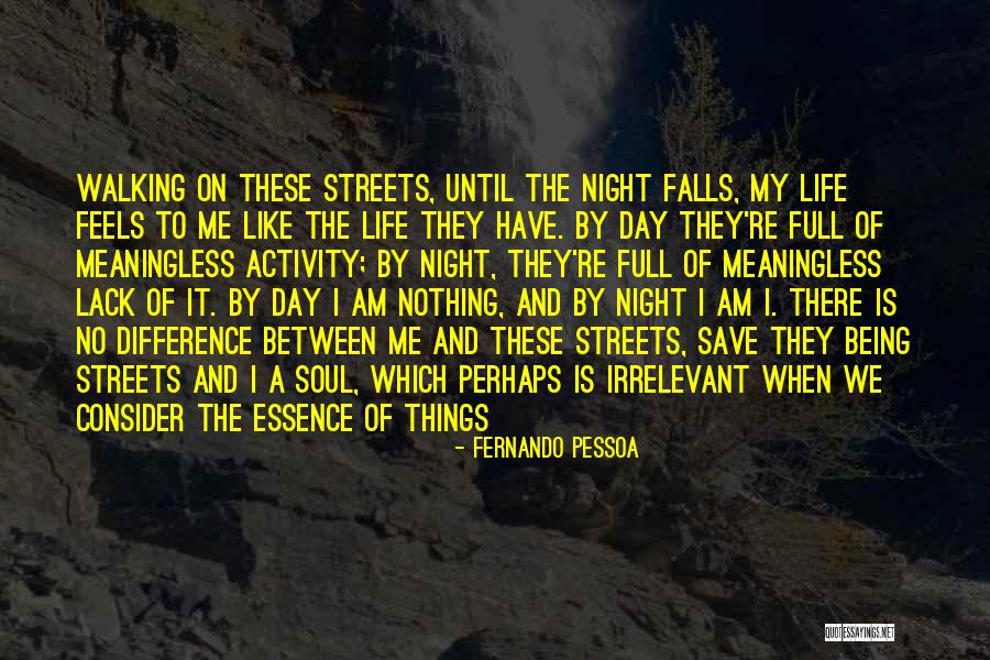 These Streets Quotes By Fernando Pessoa