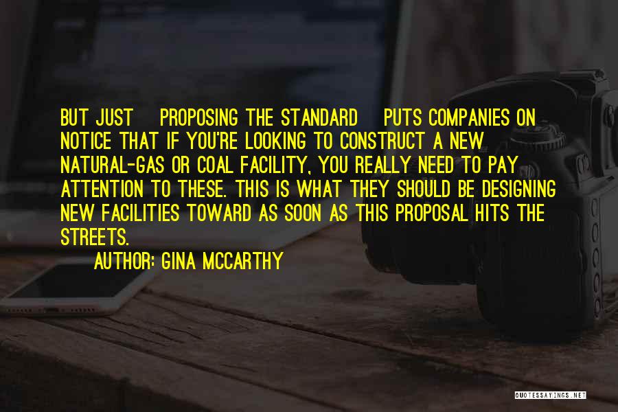 These Streets Quotes By Gina McCarthy