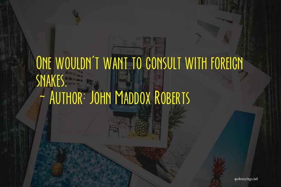 These Streets Quotes By John Maddox Roberts