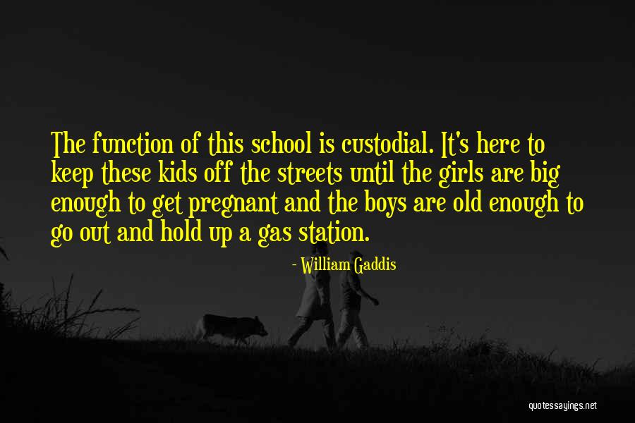 These Streets Quotes By William Gaddis