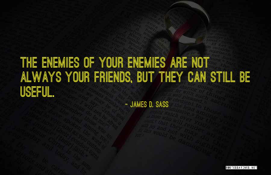 They Are Not Your Friends Quotes By James D. Sass