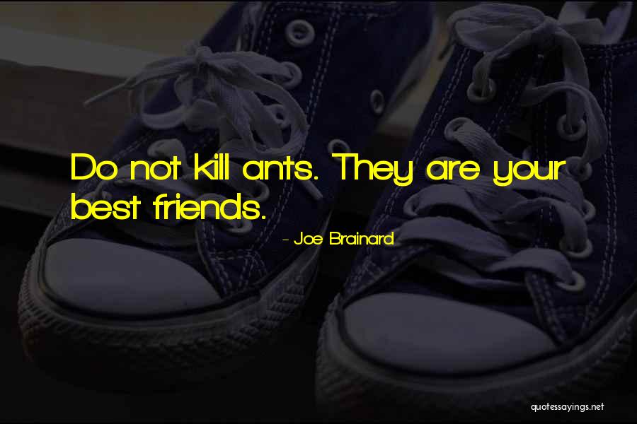 They Are Not Your Friends Quotes By Joe Brainard