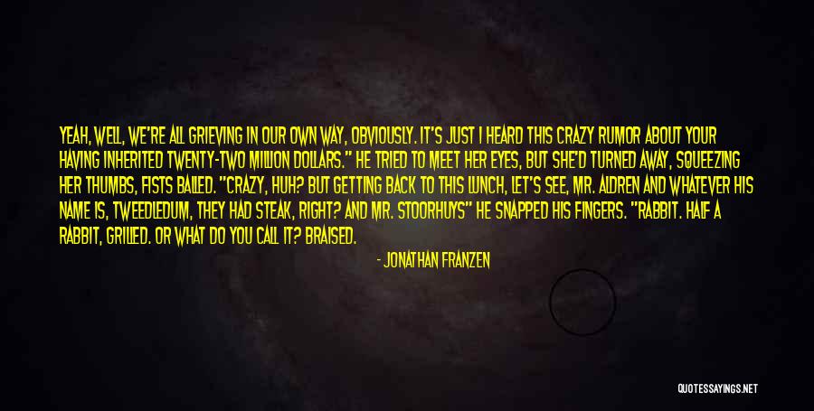 They Call You Crazy Quotes By Jonathan Franzen