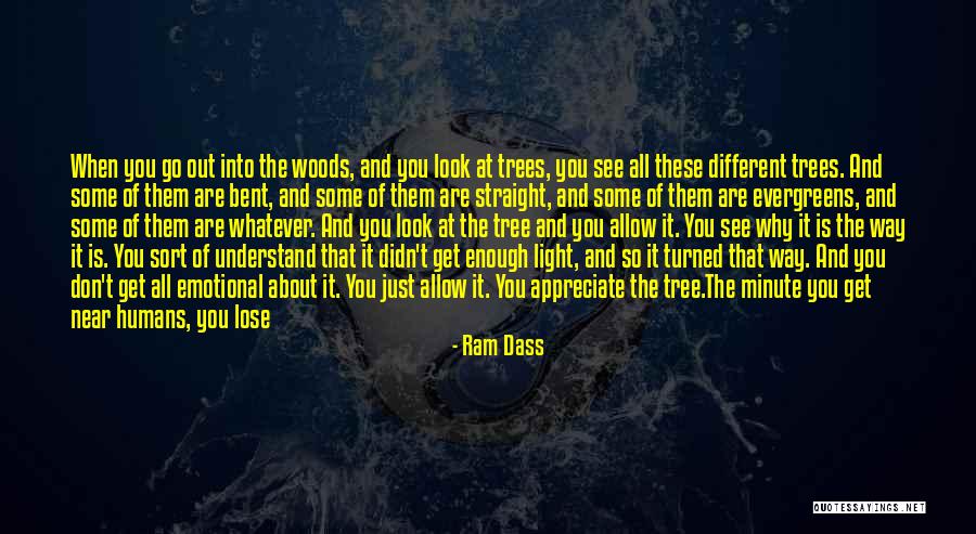They Don't Appreciate Quotes By Ram Dass They Don't Appreciate Quotes By Ram Dass