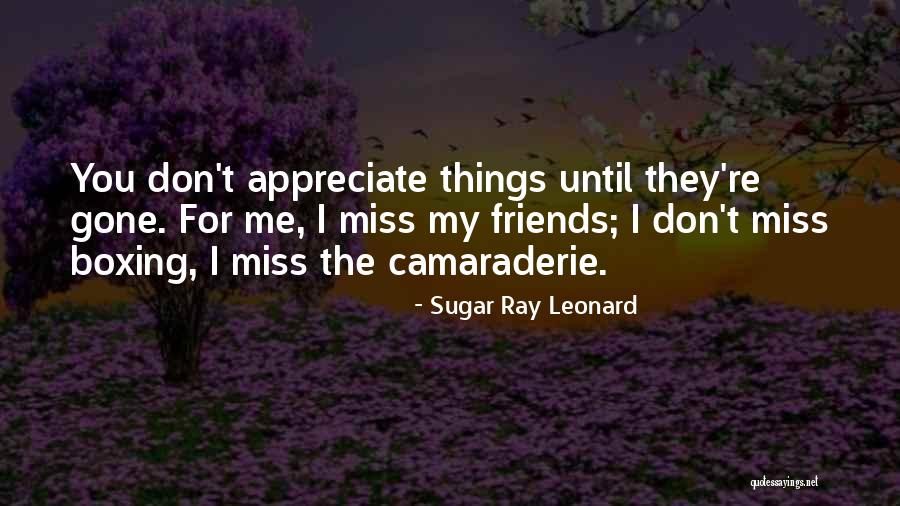 They Don't Appreciate Quotes By Sugar Ray Leonard They Don't Appreciate Quotes By Sugar Ray Leonard