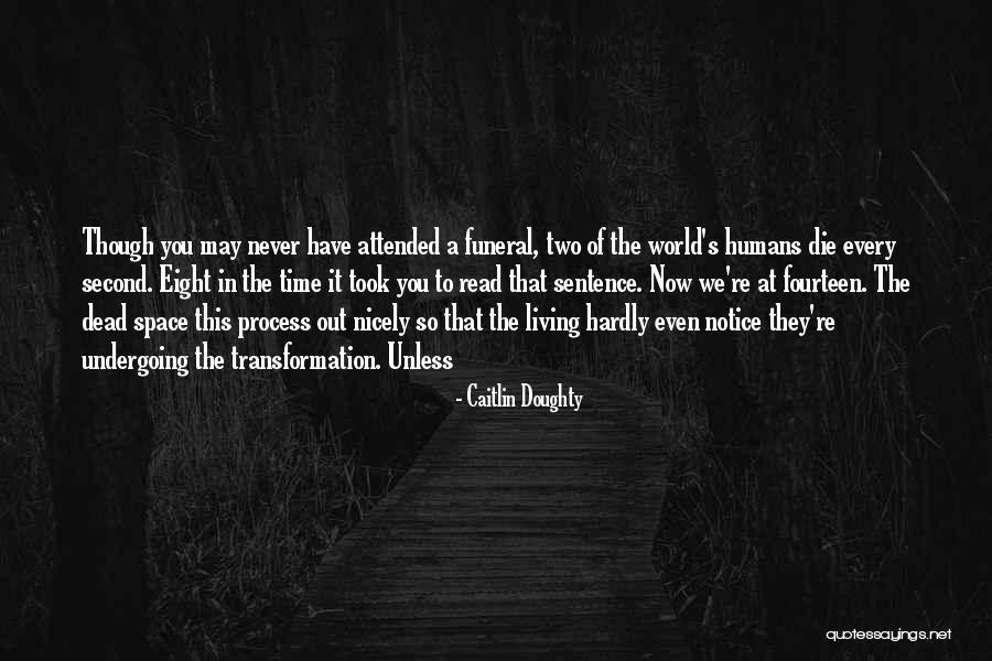They Never Notice Quotes By Caitlin Doughty They Never Notice Quotes By Caitlin Doughty
