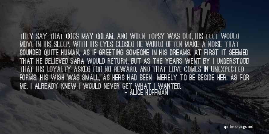 They Say Dreams Quotes By Alice Hoffman They Say Dreams Quotes By Alice Hoffman