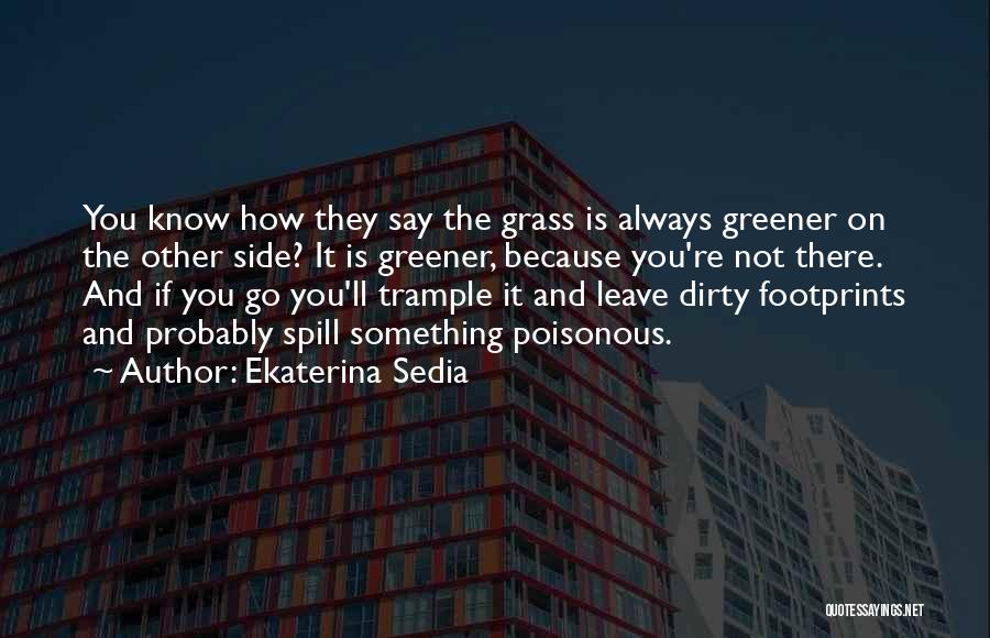 They Say The Grass Is Greener On The Other Side Quotes By Ekaterina Sedia