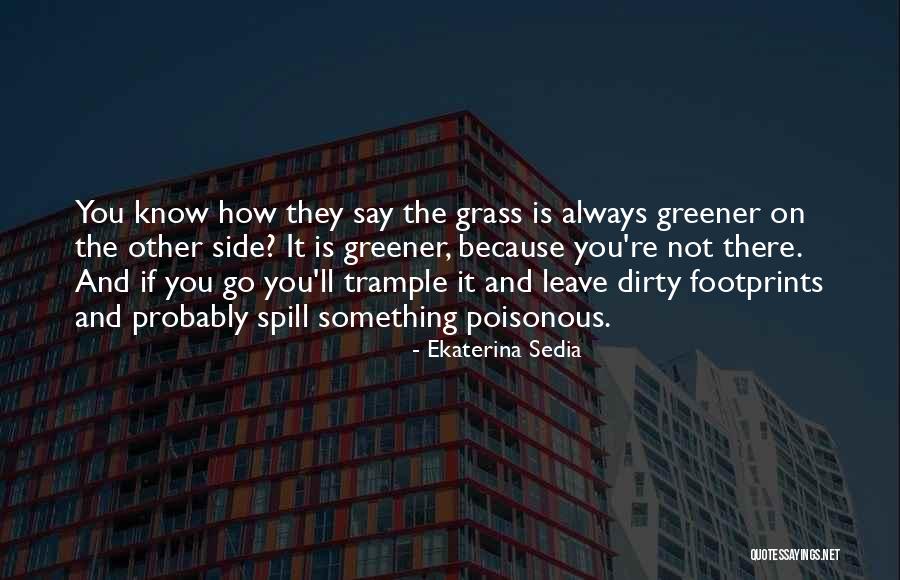 They Say The Grass Is Greener On The Other Side Quotes By Ekaterina Sedia