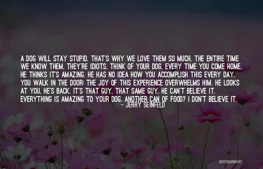 They Think They Know Everything Quotes By Jerry Seinfeld They Think They Know Everything Quotes By Jerry Seinfeld