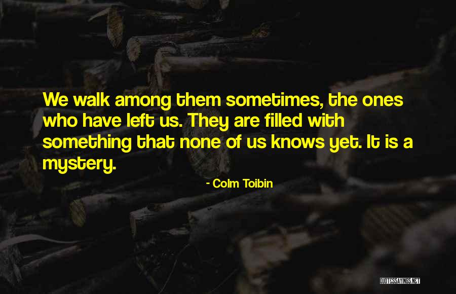 They Walk Among Us Quotes By Colm Toibin