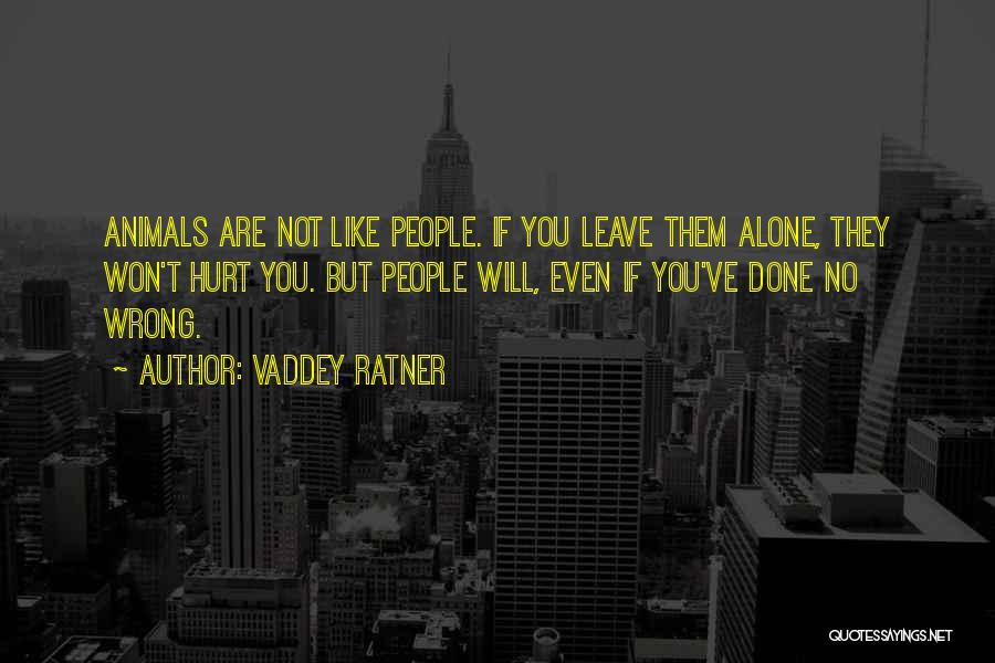 They Will Hurt You Quotes By Vaddey Ratner