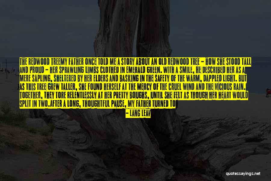 They Will Remember You Quotes By Lang Leav They Will Remember You Quotes By Lang Leav
