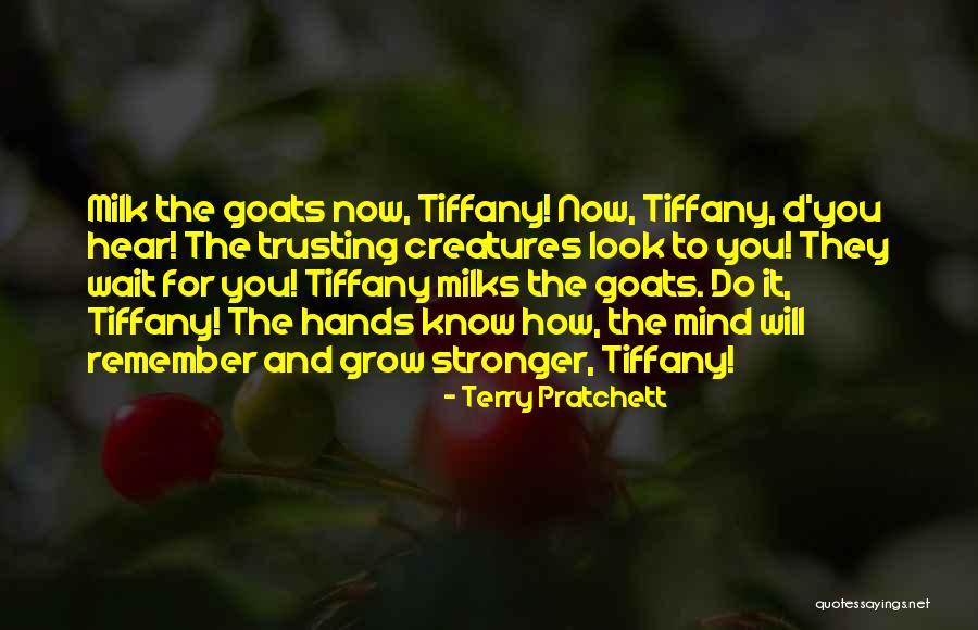 They Will Remember You Quotes By Terry Pratchett They Will Remember You Quotes By Terry Pratchett