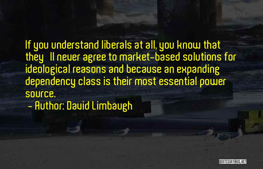 They'll Never Understand Quotes By David Limbaugh