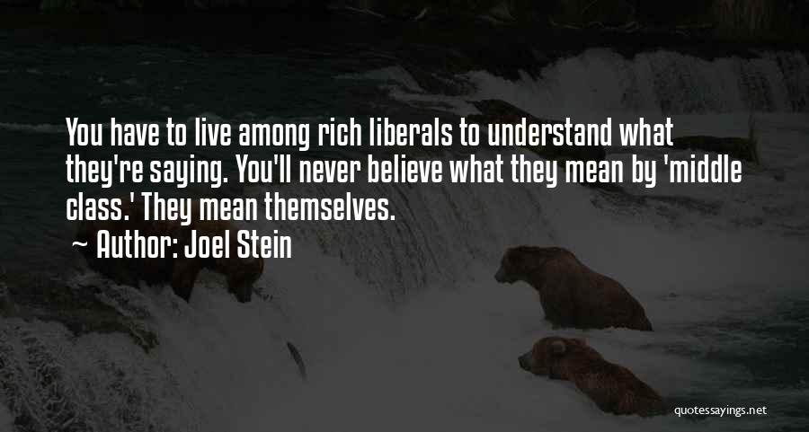 They'll Never Understand Quotes By Joel Stein