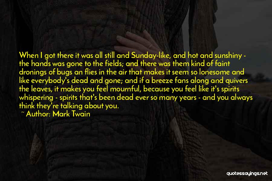 They're Gone Quotes By Mark Twain