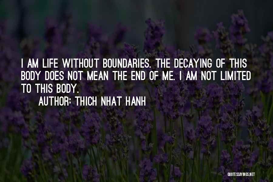 Thich Nhat Hanh Quotes 1749346