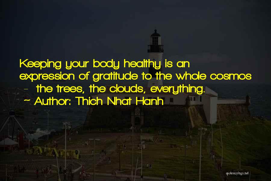 Thich Nhat Hanh Quotes 746087