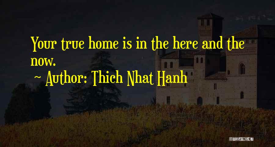 Thich Quotes By Thich Nhat Hanh