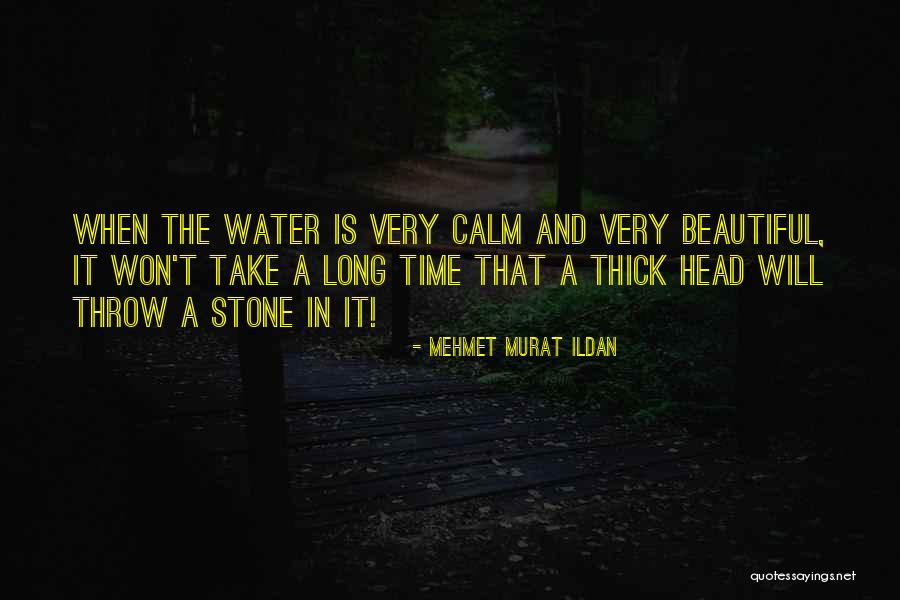 Thick Head Quotes By Mehmet Murat Ildan