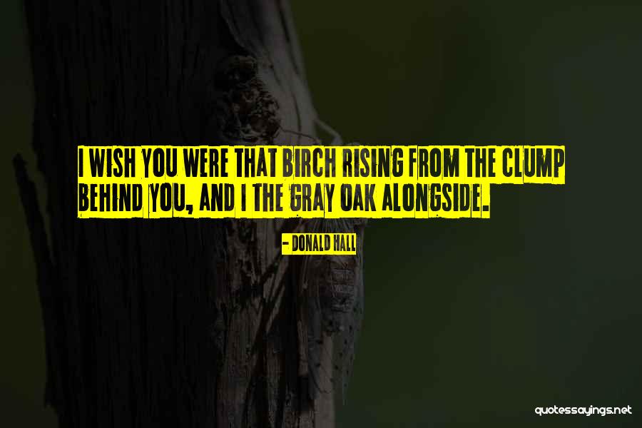 Thickestonig Quotes By Donald Hall Thickestonig Quotes By Donald Hall