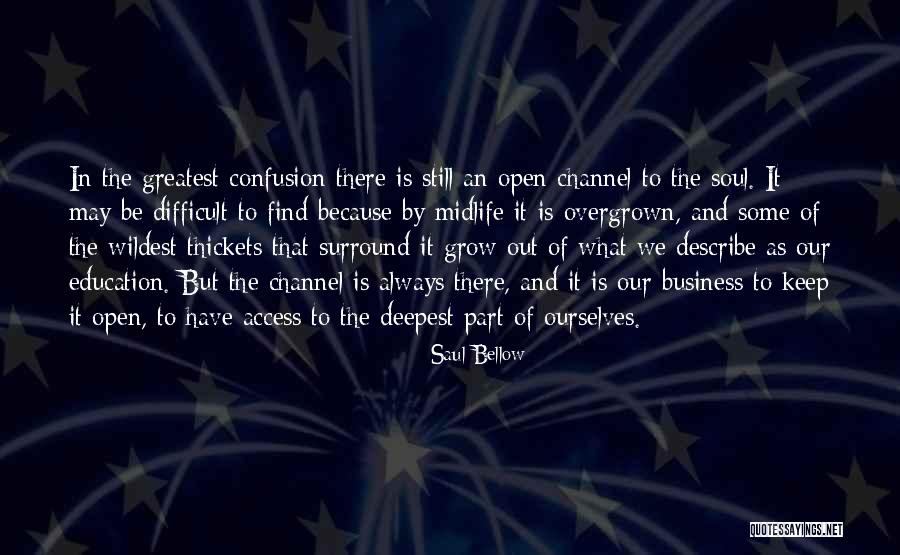 Thickets Inc Quotes By Saul Bellow Thickets Inc Quotes By Saul Bellow