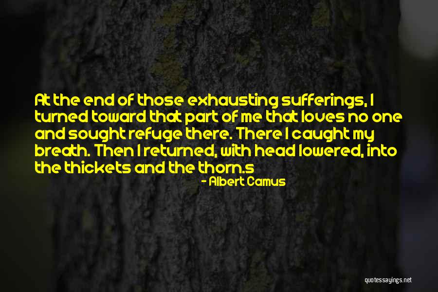 Thickets Quotes By Albert Camus Thickets Quotes By Albert Camus