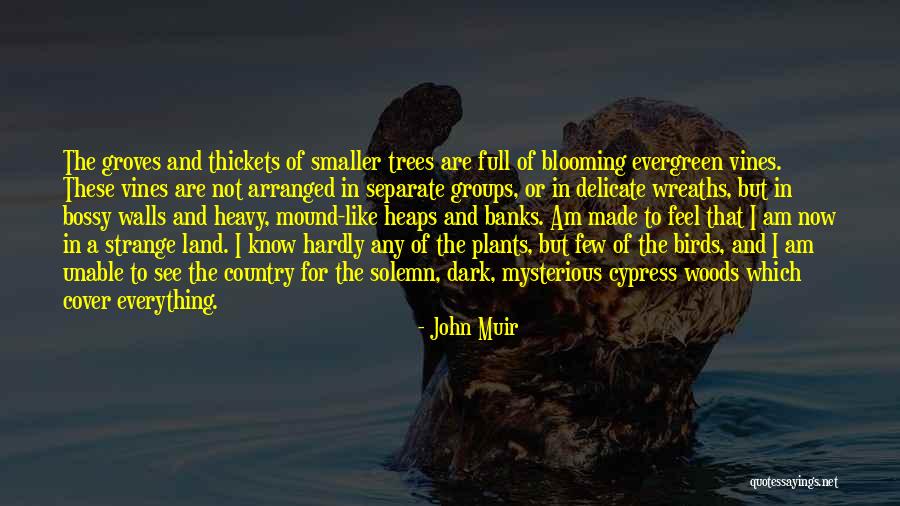 Thickets Quotes By John Muir Thickets Quotes By John Muir