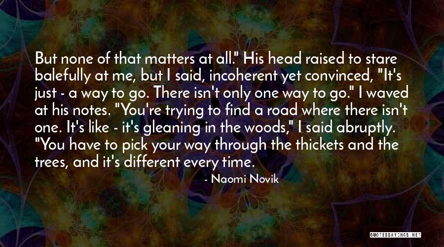 Thickets Quotes By Naomi Novik Thickets Quotes By Naomi Novik