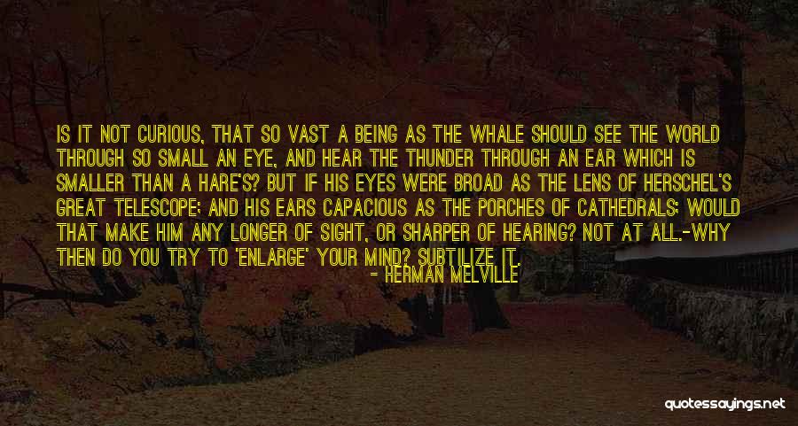 Thickness Sander Quotes By Herman Melville Thickness Sander Quotes By Herman Melville