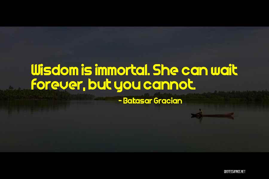 Thickums Quotes By Baltasar Gracian Thickums Quotes By Baltasar Gracian
