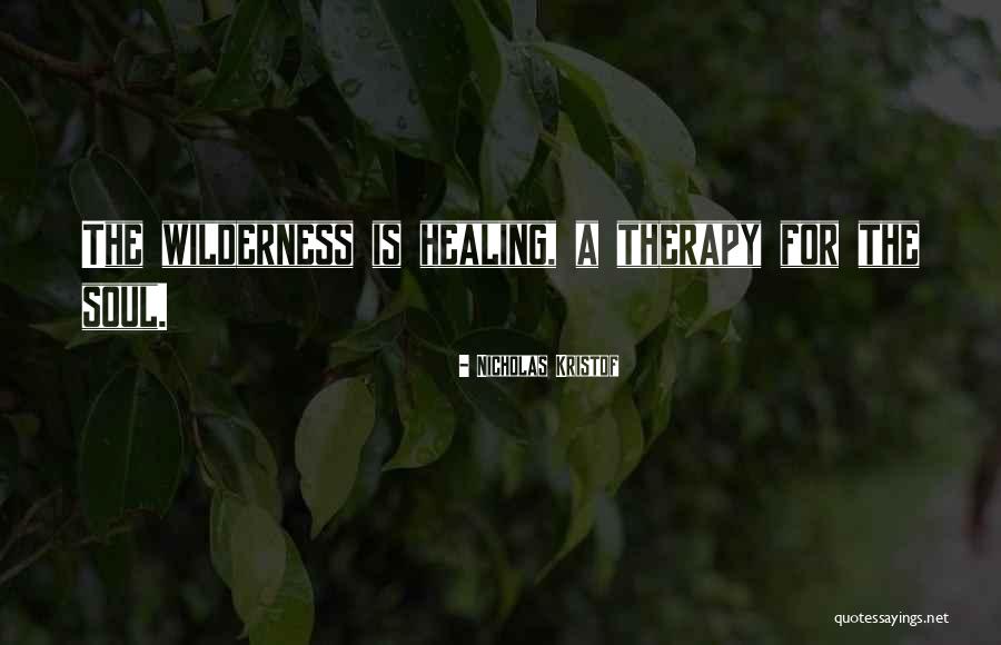 Thiebaud Landscapes Quotes By Nicholas Kristof Thiebaud Landscapes Quotes By Nicholas Kristof
