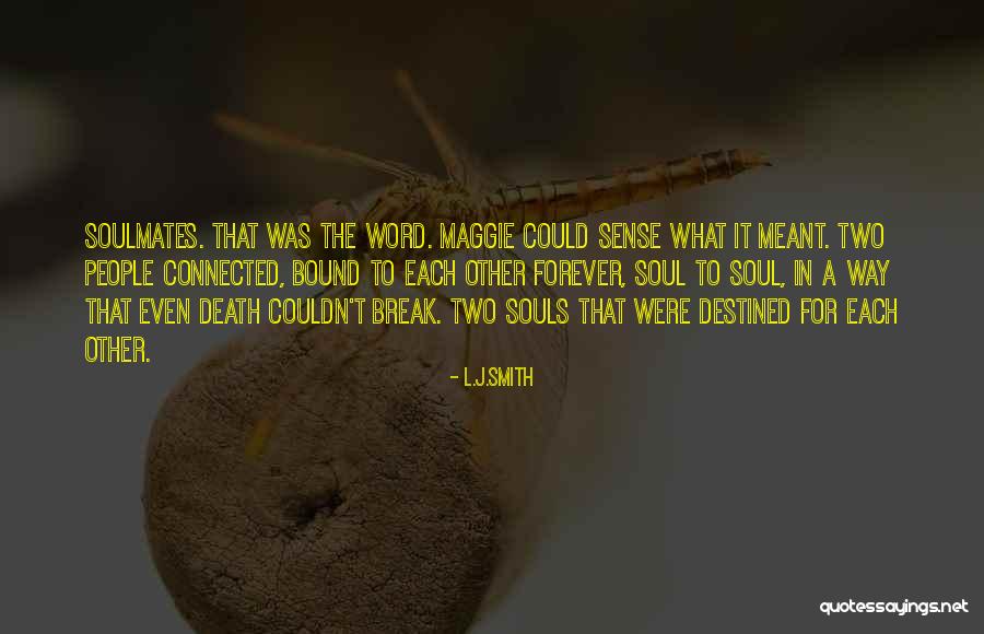 Thief Friends Quotes By L.J.Smith Thief Friends Quotes By L.J.Smith