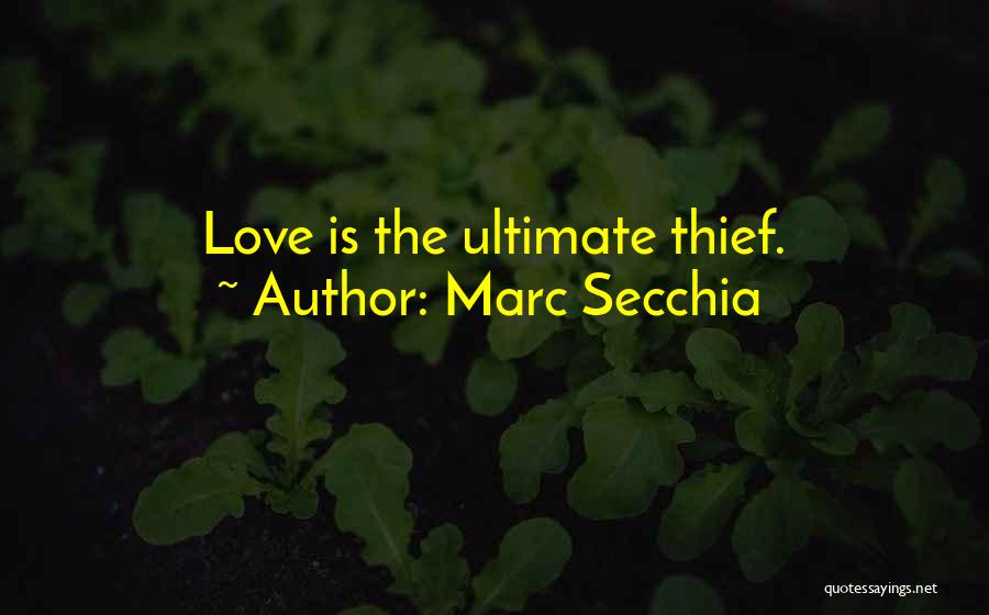 Thief Love Quotes By Marc Secchia