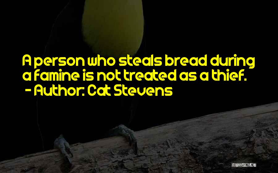 Thief Person Quotes By Cat Stevens