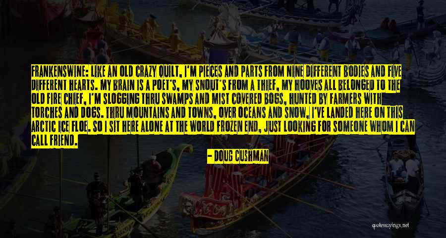 Thief Quotes By Doug Cushman