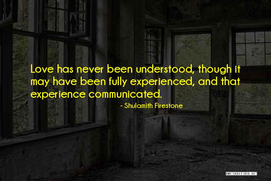 Thiemann Quotes By Shulamith Firestone Thiemann Quotes By Shulamith Firestone