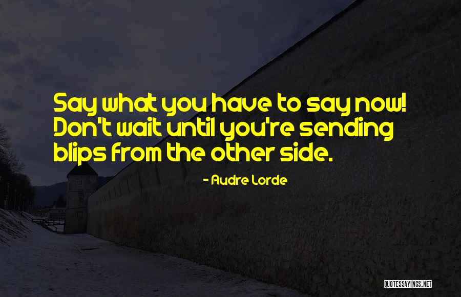 Thimas Rhett Quotes By Audre Lorde Thimas Rhett Quotes By Audre Lorde