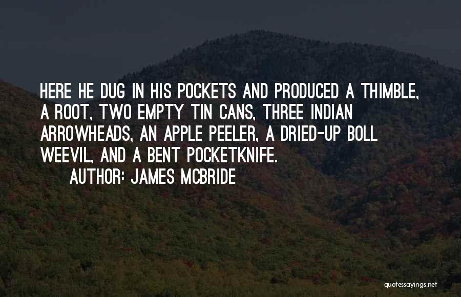 Thimble Quotes By James McBride