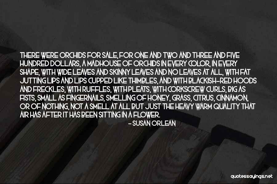 Thimbles Quotes By Susan Orlean Thimbles Quotes By Susan Orlean